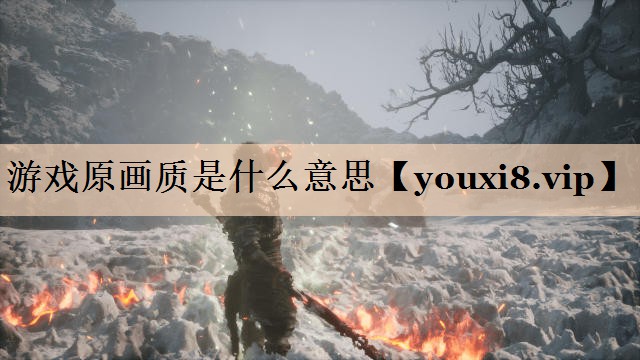 游戏原画质是什么意思