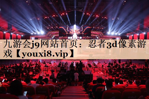 忍者3d像素游戏